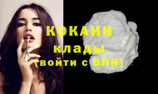 шишки Лабытнанги