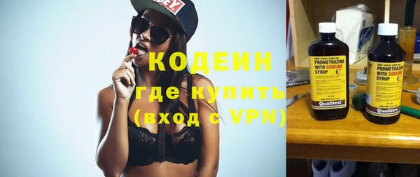 шишки Лабытнанги