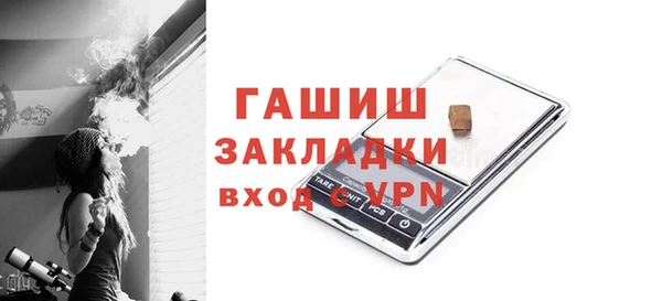 шишки Лабытнанги