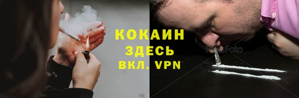 шишки Лабытнанги