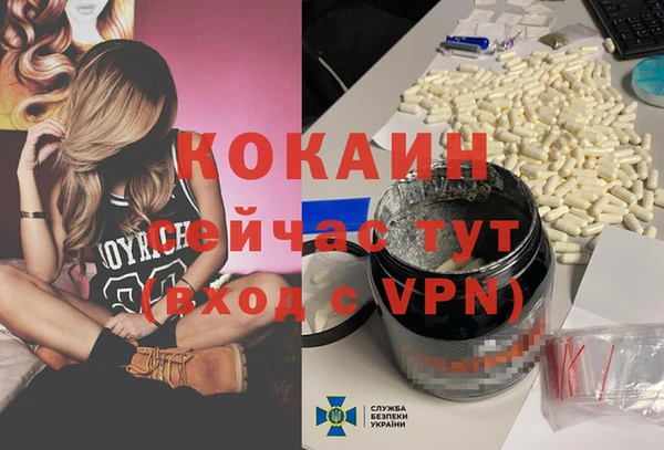 шишки Лабытнанги
