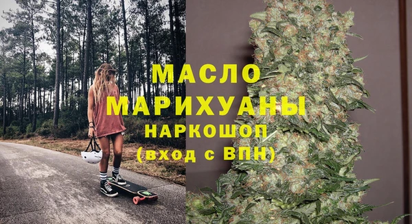 шишки Лабытнанги