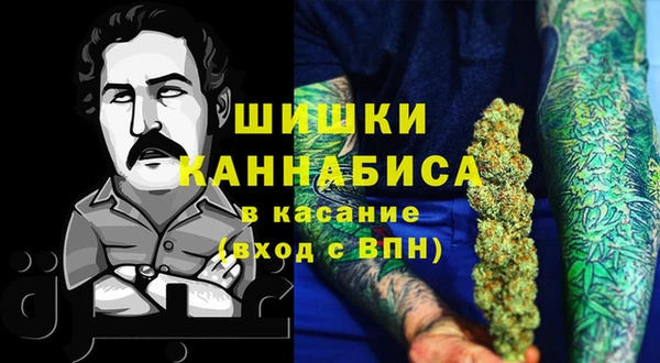 шишки Лабытнанги