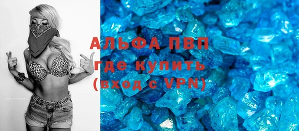 шишки Лабытнанги