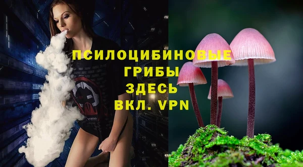 ПСИЛОЦИБИНОВЫЕ ГРИБЫ Лагань