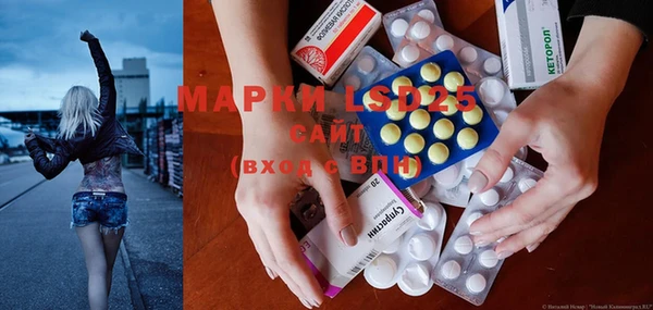 ПСИЛОЦИБИНОВЫЕ ГРИБЫ Лагань