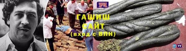 шишки Лабытнанги