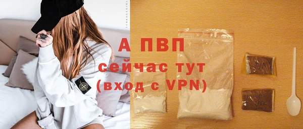 шишки Лабытнанги