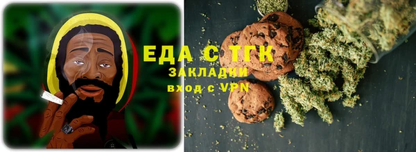 шишки Лабытнанги