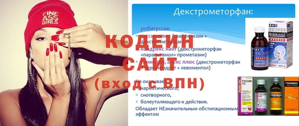 шишки Лабытнанги