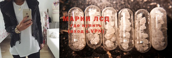 шишки Лабытнанги