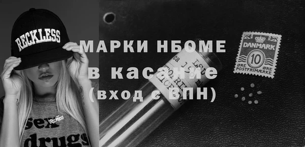шишки Лабытнанги