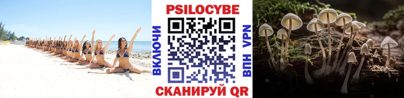 Псилоцибиновые грибы Magic Shrooms  Щёкино 